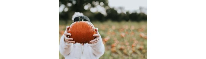 <a href="https://www.freepik.com/free-photo/woman-pumpkin-patch-before-halloween_18059825.htm#query=pumpkin%20patch&position=1&from_view=search&track=sph">Image by rawpixel.com</a> on Freepik