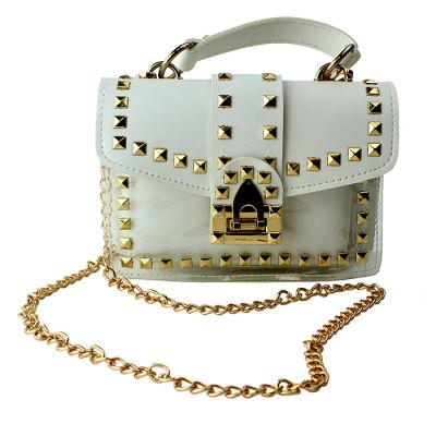 Cherie Acrylic and Faux Leather Purse with Gold Tone Studs