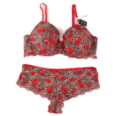 Animal Print and Rose Push up Bra and Hipster/Cheeky Panty Set
