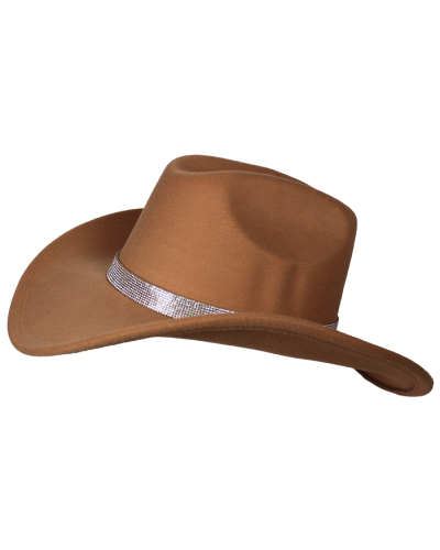 Tan Brown hat with glitter stripe decor