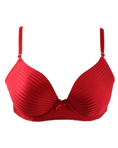 "Dream" 2-Pack Satin Striped Molded Bras