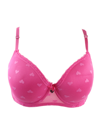 "Sensual" 2-Pack Heart Print Bras