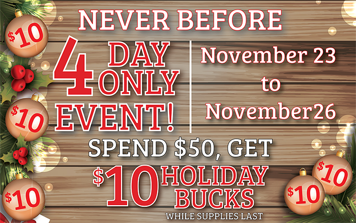 Pictured here is the Melrose Holiday Bucks Info Banner.
