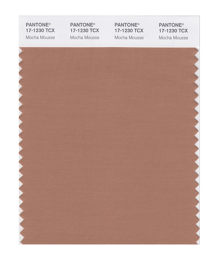 The color swatch of PANTONE Color of the Year 2025 Mocha Mousse is pictured here.