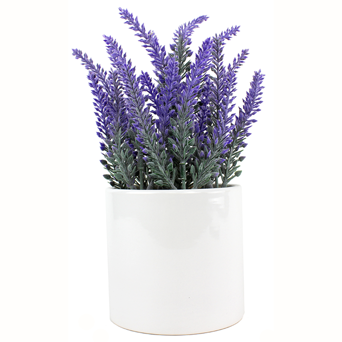 Transform your kitchen into a cozy and inviting space with the help of a stunning "Cag" Faux 10" Lavender Plant. This artificial plant is a perfect addition to any kitchen, providing natural beauty without regular maintenance. The realistic-looking lavender petals and rich green foliage will bring a sense of calmness and serenity to your kitchen area, making it the perfect place for cooking, dining, and entertaining.