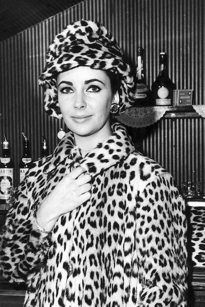 Elizabeth Taylor wears a leopard print coat and hat.