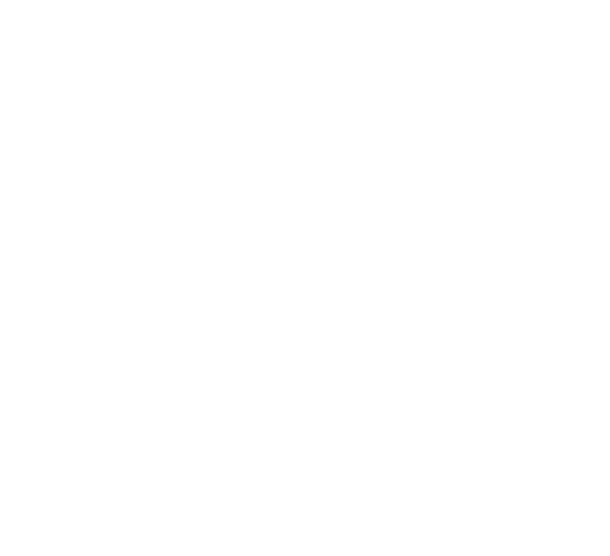 $5 Layaway - $5 holds up to $100 worth of merchandise!